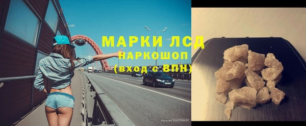 шишки Заволжье