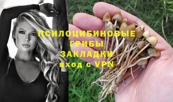 mix Заводоуковск