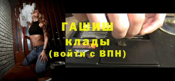 шишки Заволжье