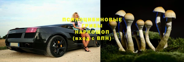 шишки Заволжье