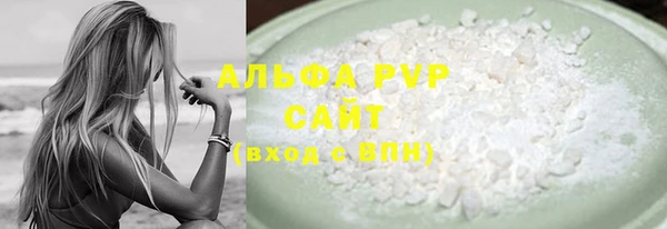 шишки Заволжье