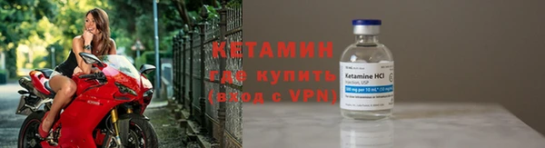 дживик Ельня