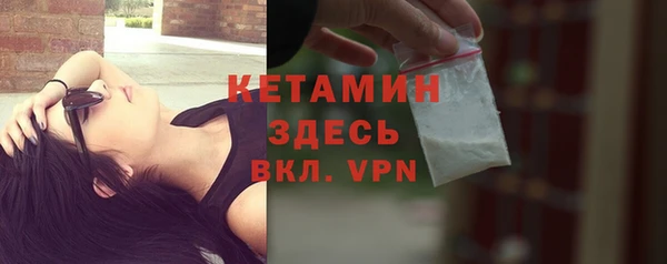 шишки Заволжье