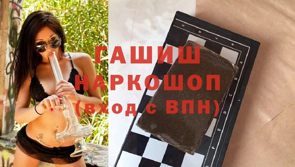 шишки Заволжье