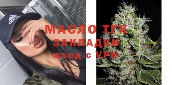 шишки Заволжье