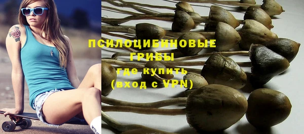 шишки Заволжье