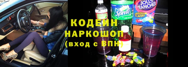 шишки Заволжье