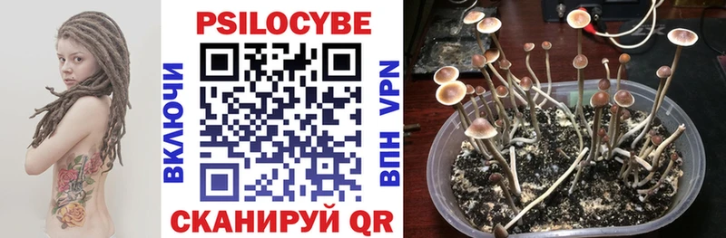 Купить где  Кремёнки  Псилоцибиновые грибы прущие грибы 
